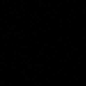 Meet your Posher, Peyton